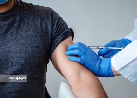 شمارش معکوس برای واکسیناسیون خودرویی