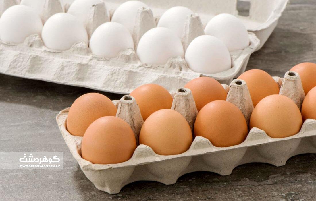 خرید تخم مرغ کاهش یافت