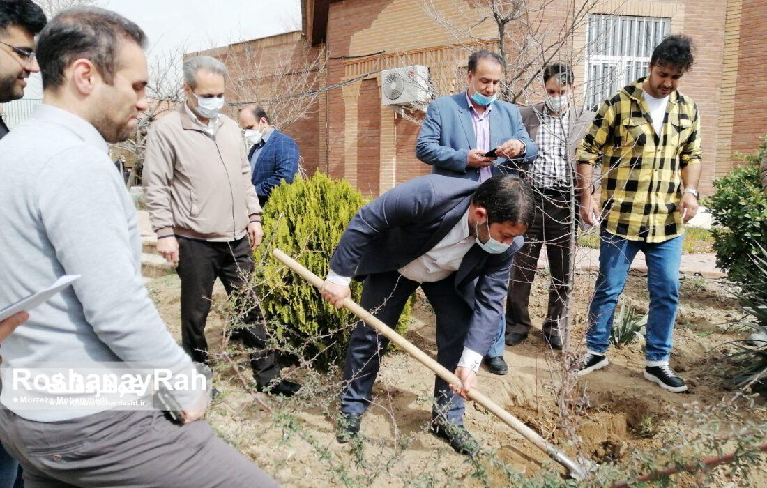 مراسم کاشت نهال در محوطه خانه مطبوعات استان