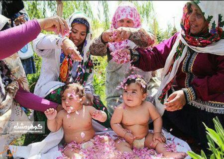 آیین غلتانیدن نوزادان در گل های محمدی در پارک ملی ایران کوچک برگزار می شود