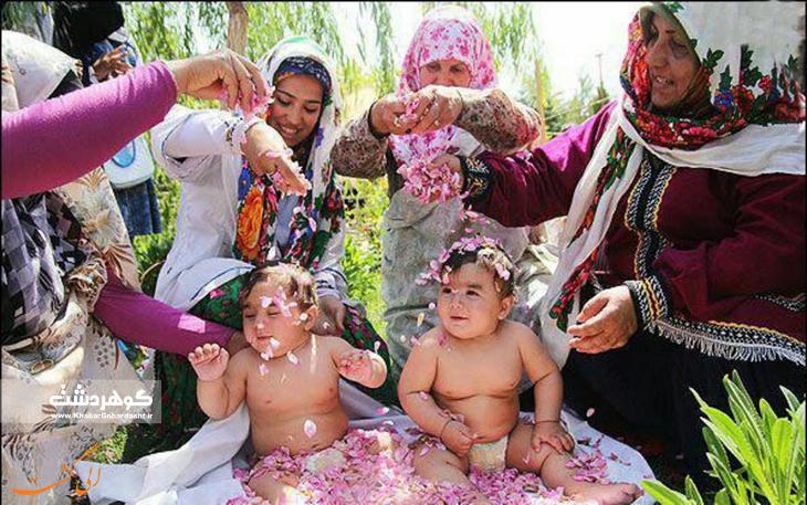 آیین غلتانیدن نوزادان در گل های محمدی در پارک ملی ایران کوچک برگزار می شود
