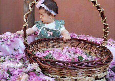 برگزاری جشنواره گلاب گیری کرج در پارک ایران کوچک