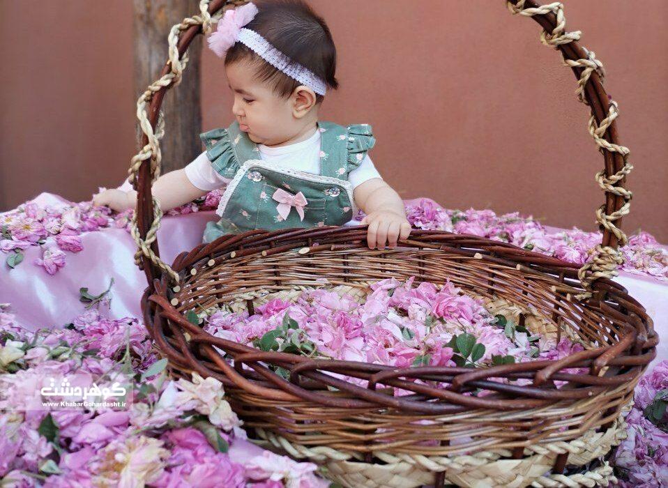 برگزاری جشنواره گلاب گیری کرج در پارک ایران کوچک