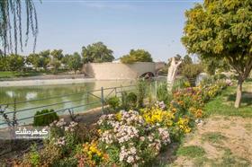 شکوفایی بیش از ۱۳۰ هزار بوته گل داوودی در کاخ مروارید