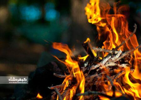 آسیب به درختان برای روشن کردن آتش در مهرشهر+فیلم