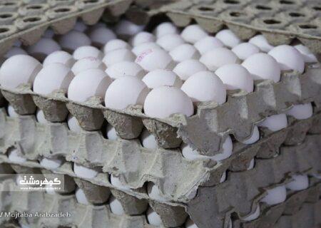 صادرات تخم مرغ به ۱۱۲ هزار تن رسید